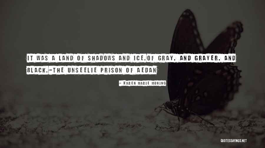 Aedan Quotes By Karen Marie Moning Aedan Quotes By Karen Marie Moning