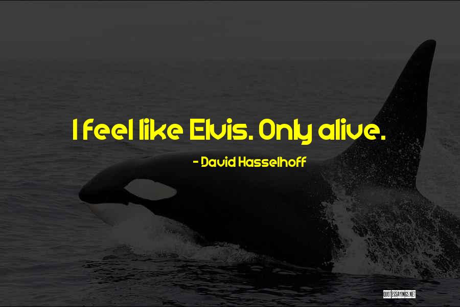 Aedin Quotes By David Hasselhoff Aedin Quotes By David Hasselhoff