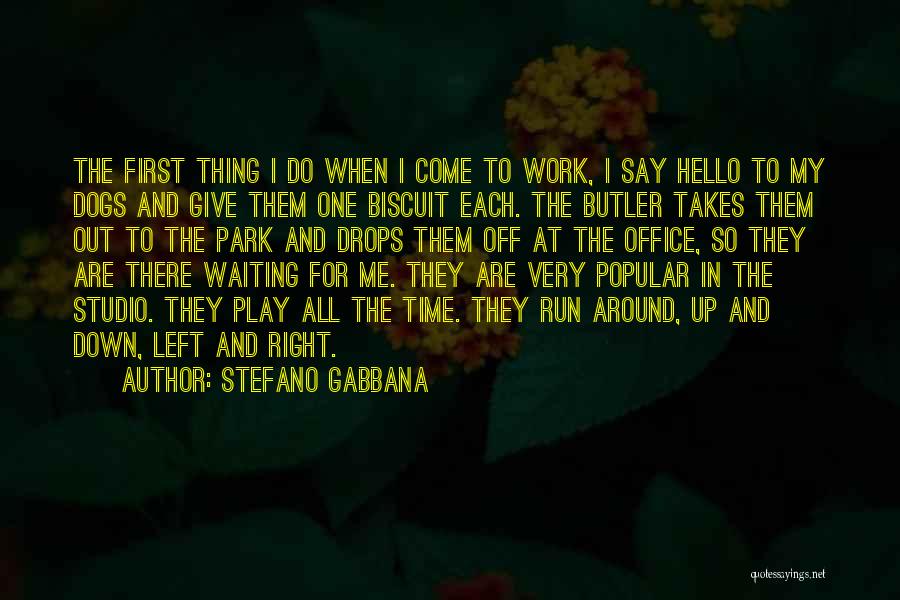 Aegae Quotes By Stefano Gabbana