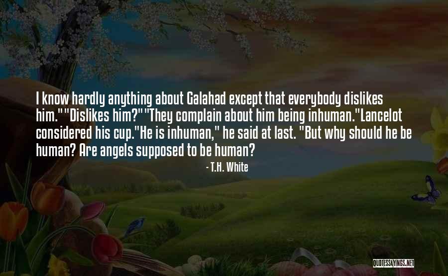 Aegolius Ridgwayi Quotes By T.H. White Aegolius Ridgwayi Quotes By T.H. White