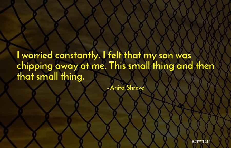 Aegrotocatellus Quotes By Anita Shreve Aegrotocatellus Quotes By Anita Shreve