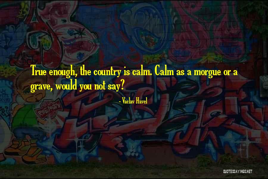Aelita Guitar Quotes By Vaclav Havel Aelita Guitar Quotes By Vaclav Havel