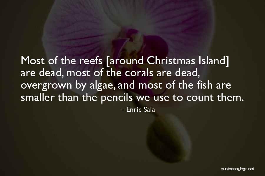 Aeonian Sorrow Quotes By Enric Sala Aeonian Sorrow Quotes By Enric Sala