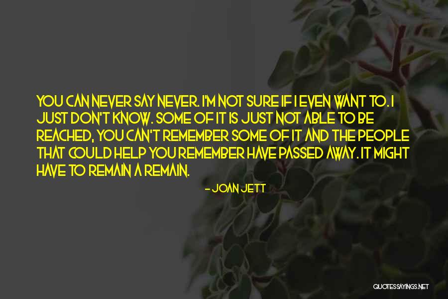 Aep Quotes By Joan Jett Aep Quotes By Joan Jett