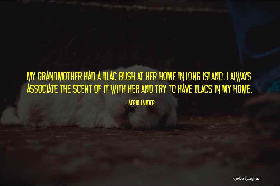 Aerin Quotes By Aerin Lauder Aerin Quotes By Aerin Lauder