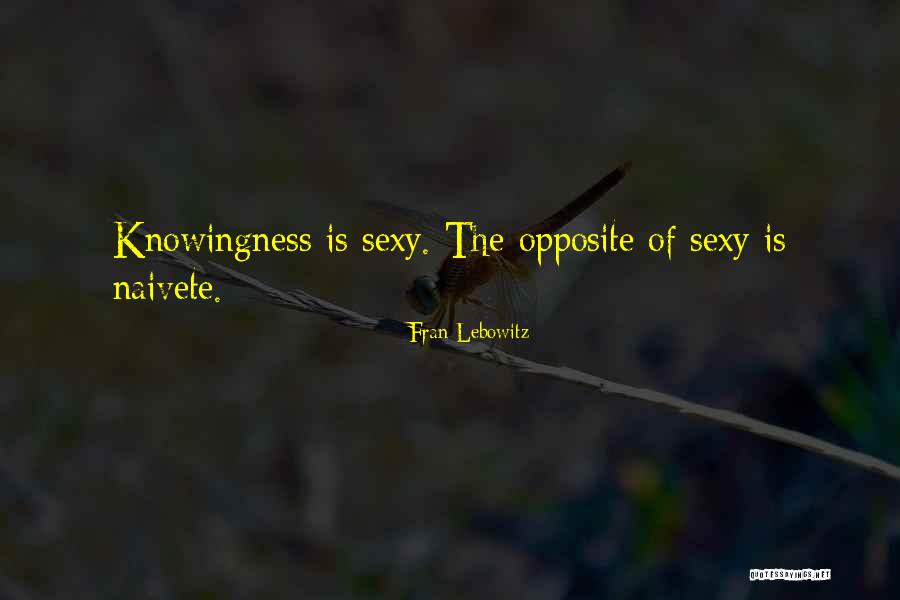 Aero Bar Quotes By Fran Lebowitz Aero Bar Quotes By Fran Lebowitz