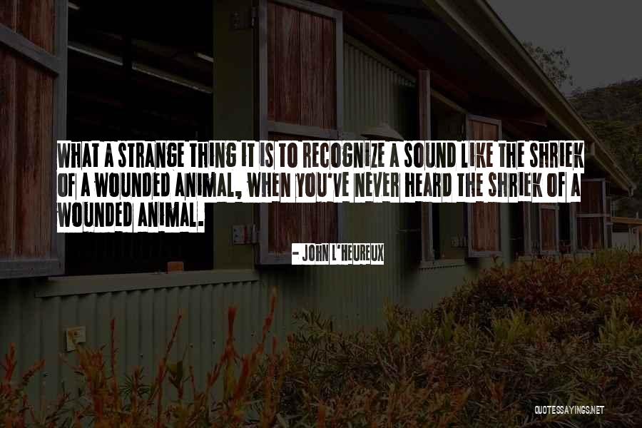 Aerodrome Distillery Quotes By John L'Heureux Aerodrome Distillery Quotes By John L'Heureux