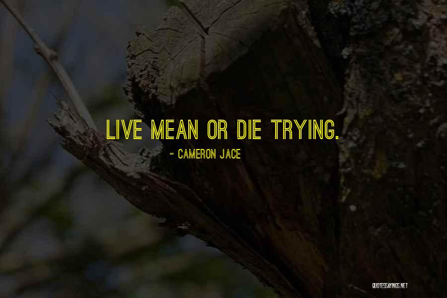 Aerodrome Rhinebeck Quotes By Cameron Jace Aerodrome Rhinebeck Quotes By Cameron Jace