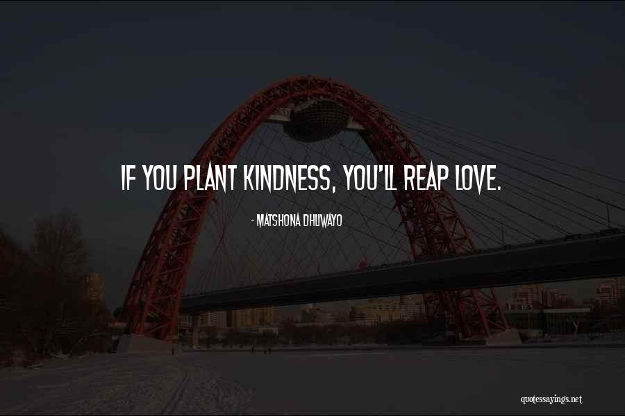 Aerop Quotes By Matshona Dhliwayo Aerop Quotes By Matshona Dhliwayo