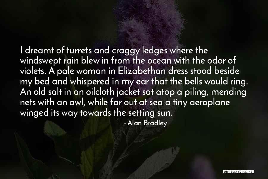 Aeroplane 2 Quotes By Alan Bradley Aeroplane 2 Quotes By Alan Bradley