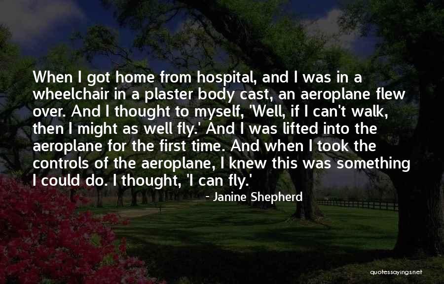 Aeroplane 2 Quotes By Janine Shepherd Aeroplane 2 Quotes By Janine Shepherd