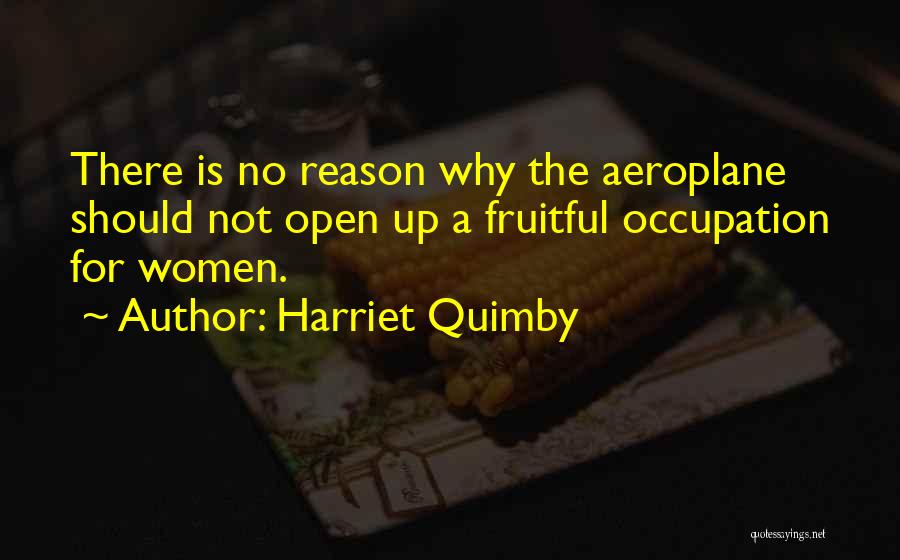 Aeroplane Quotes By Harriet Quimby