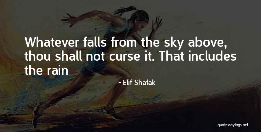 Aeroplanos A Escala Quotes By Elif Shafak