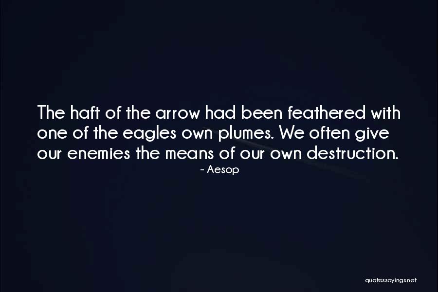 Aesop Quotes 2027519 Aesop Quotes 2027519