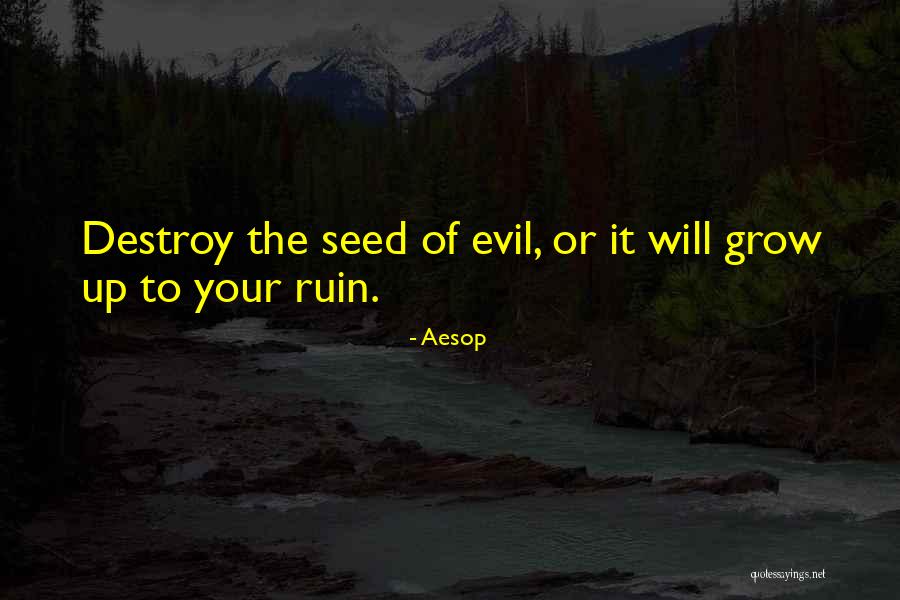 Aesop Quotes 2061544 Aesop Quotes 2061544