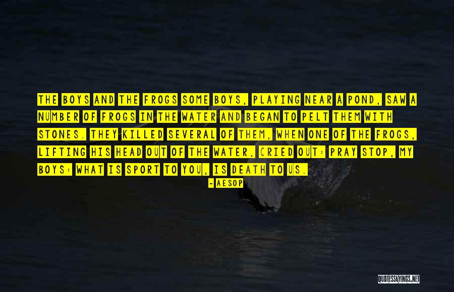 Aesop Quotes 378480 Aesop Quotes 378480
