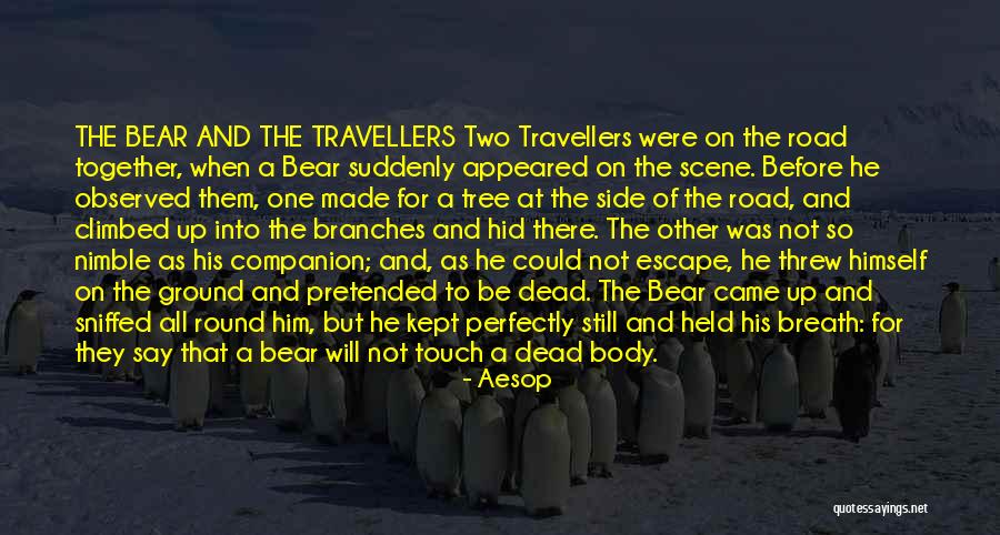 Aesop Quotes 579146 Aesop Quotes 579146