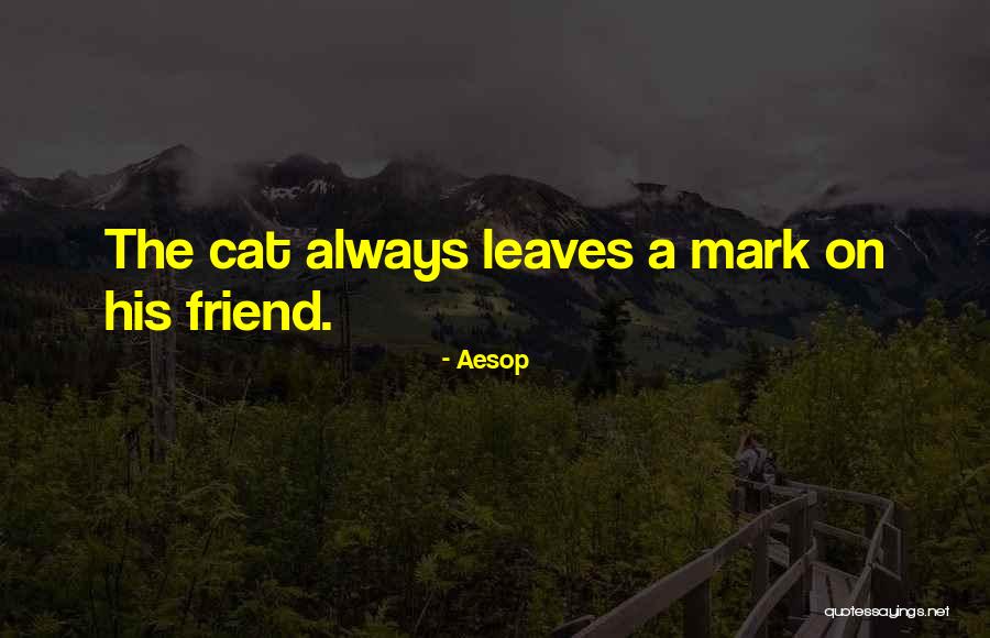 Aesop Quotes 957896