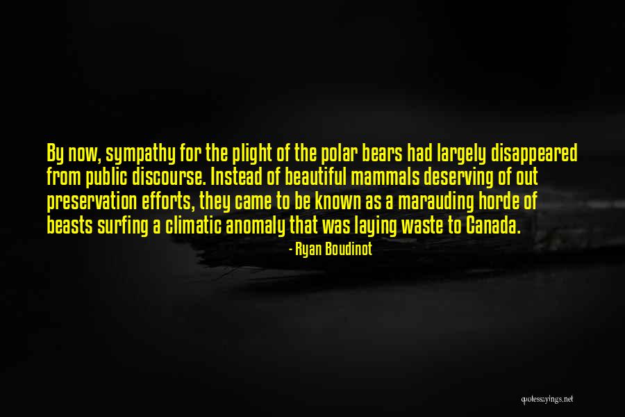 Aesthetic Japanese Quotes By Ryan Boudinot Aesthetic Japanese Quotes By Ryan Boudinot