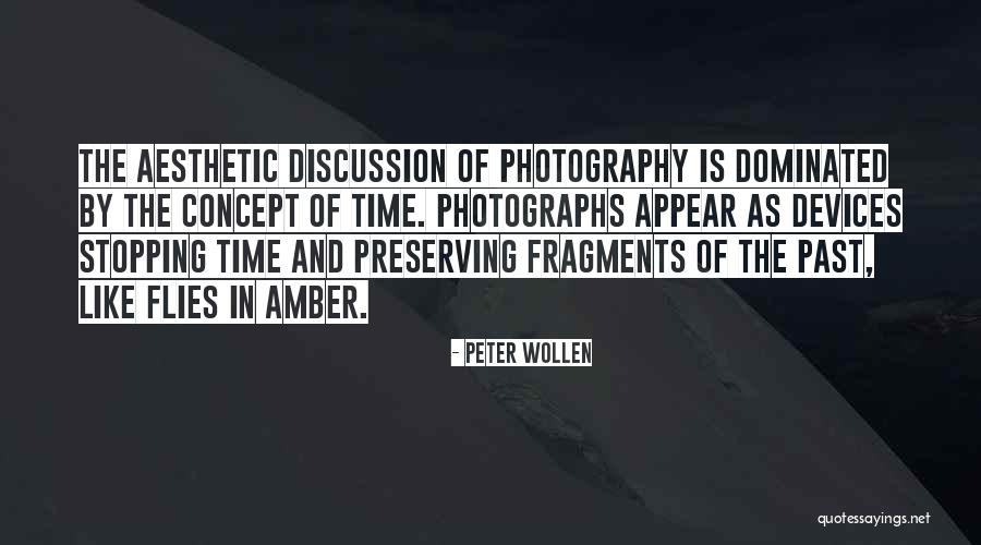 Aesthetic Quotes By Peter Wollen