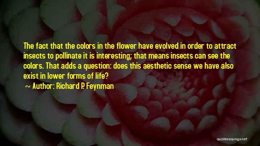 Aesthetic Quotes By Richard P. Feynman