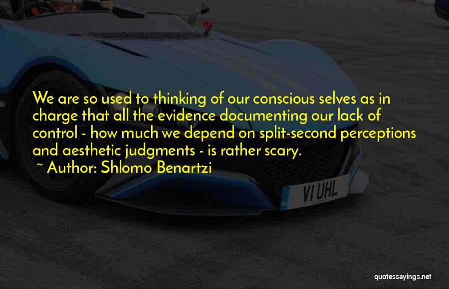 Aesthetic Quotes By Shlomo Benartzi