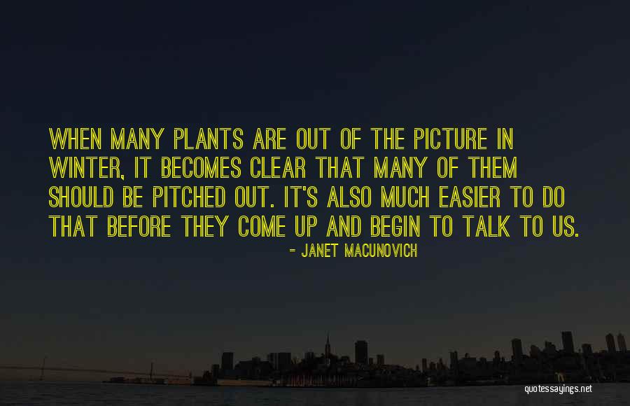 Aesthetic Retro Quotes By Janet Macunovich Aesthetic Retro Quotes By Janet Macunovich