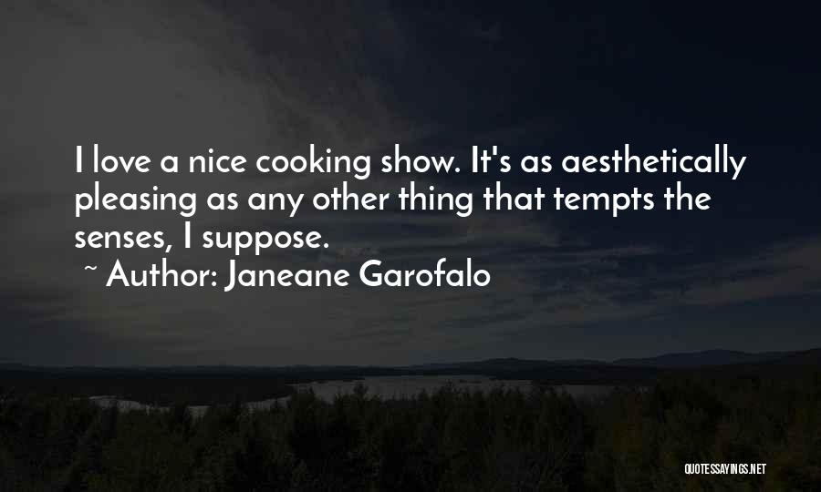 Aesthetically Pleasing Quotes By Janeane Garofalo
