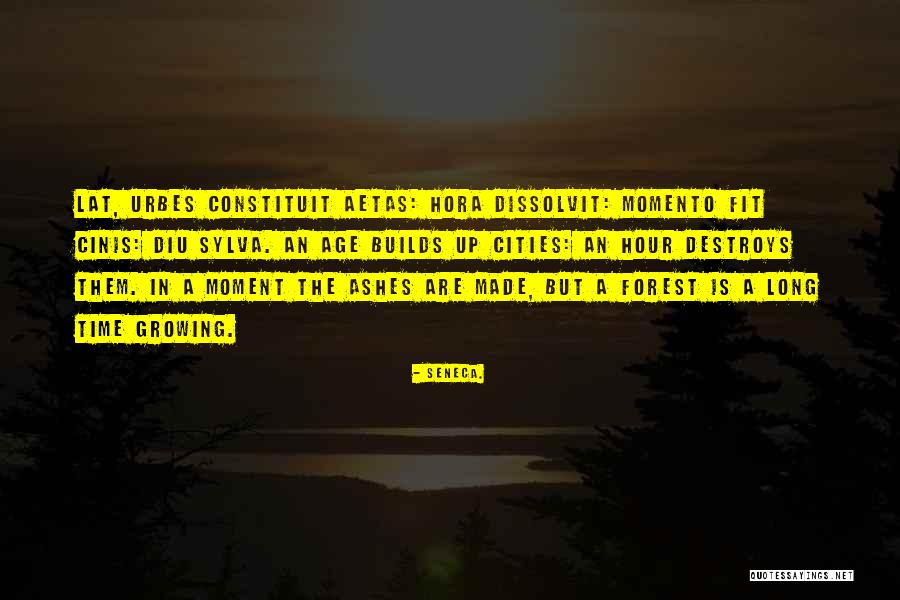 Aetas Quotes By Seneca. Aetas Quotes By Seneca.