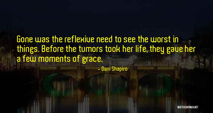 Aethiopian Quotes By Dani Shapiro Aethiopian Quotes By Dani Shapiro