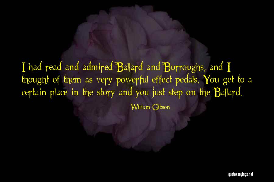 Afanador Nypd Quotes By William Gibson Afanador Nypd Quotes By William Gibson