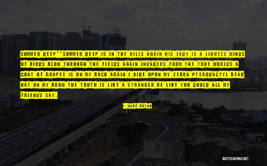 Afastamento Geometria Quotes By Marc Bolan Afastamento Geometria Quotes By Marc Bolan