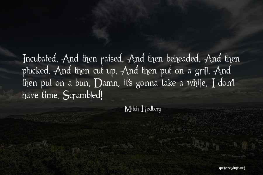Afecto Significado Quotes By Mitch Hedberg Afecto Significado Quotes By Mitch Hedberg