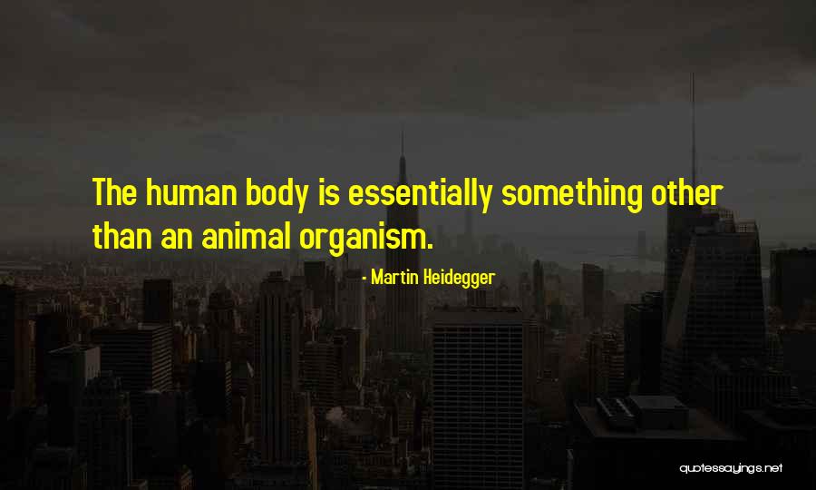 Afectos Palito Quotes By Martin Heidegger Afectos Palito Quotes By Martin Heidegger