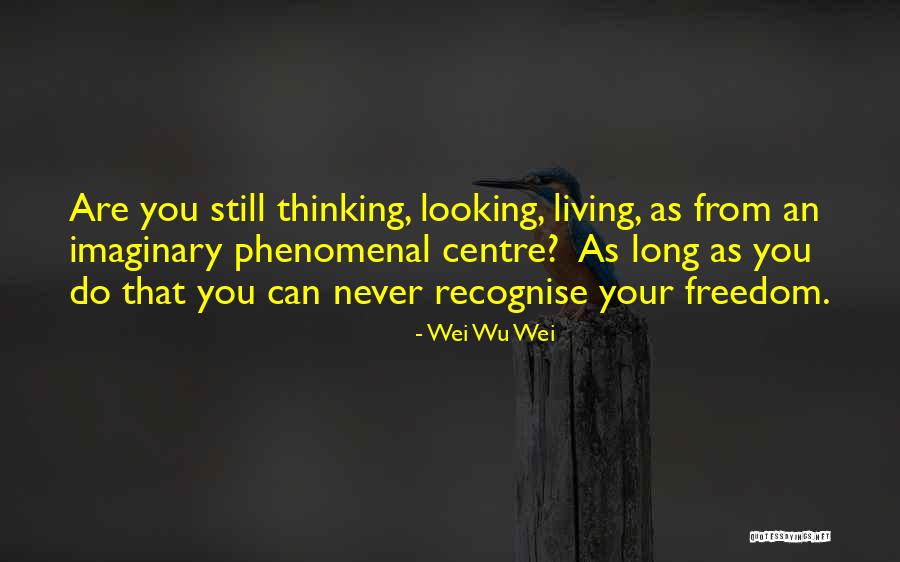 Afeioar Quotes By Wei Wu Wei