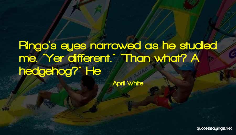 Aferdita Paqarada Quotes By April White Aferdita Paqarada Quotes By April White