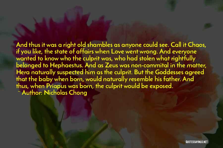 Affairs Love Quotes By Nicholas Chong