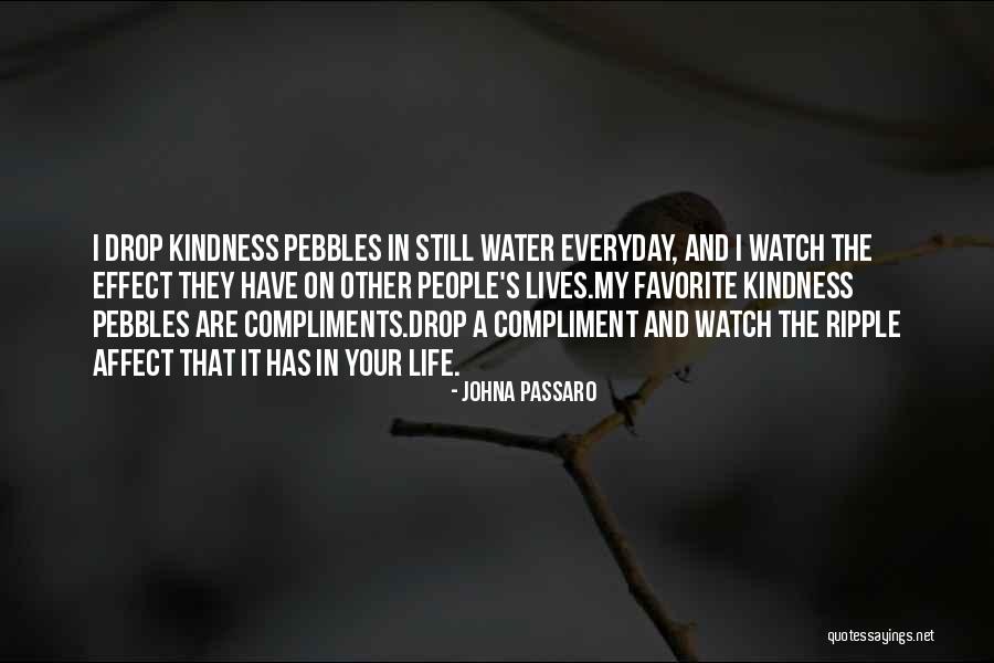 Affect Quotes By JohnA Passaro Affect Quotes By JohnA Passaro