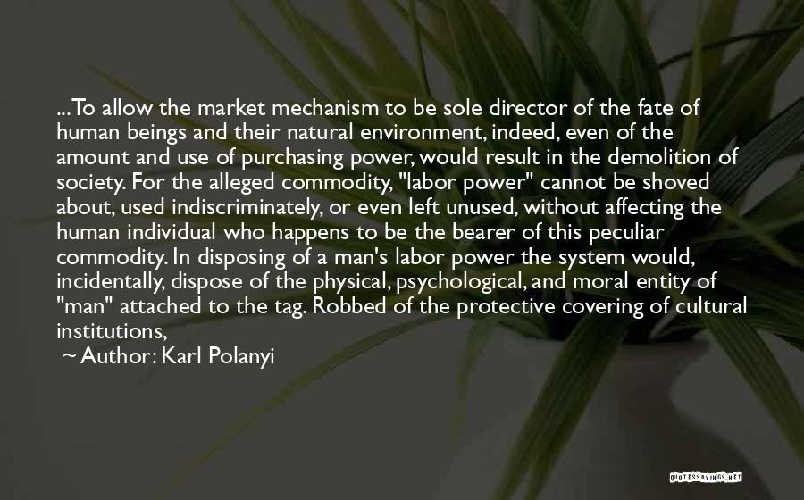 Affecting Quotes By Karl Polanyi