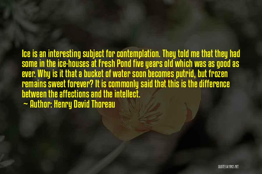 Affections Quotes By Henry David Thoreau