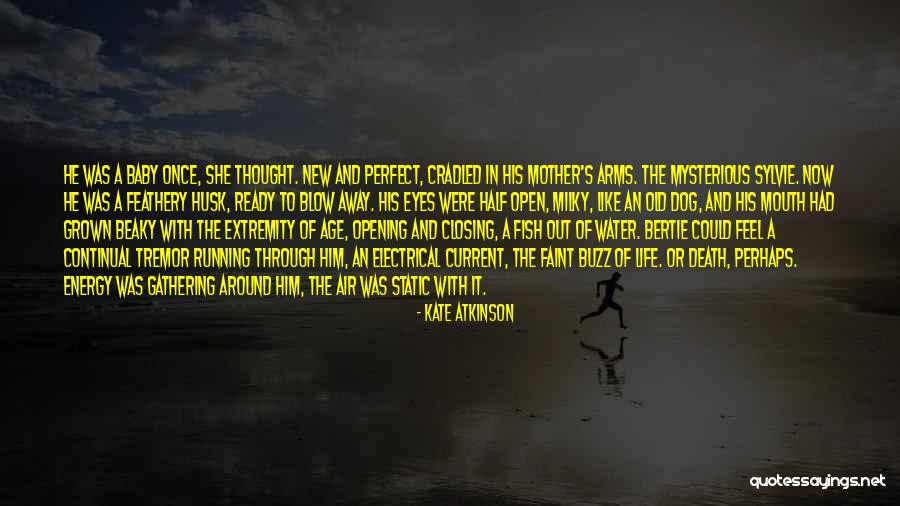 Affettuoso In Music Quotes By Kate Atkinson Affettuoso In Music Quotes By Kate Atkinson