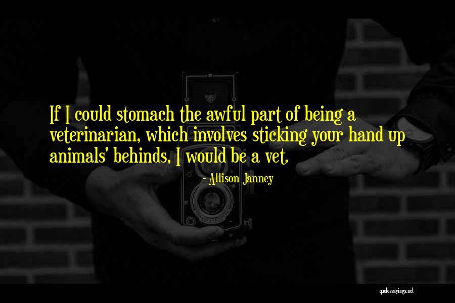 Affiance Insurance Quotes By Allison Janney Affiance Insurance Quotes By Allison Janney