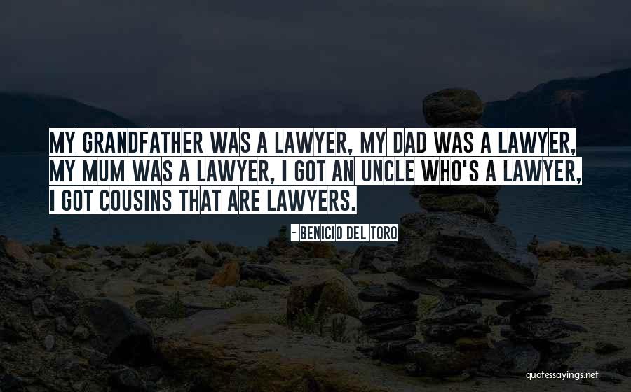 Affifudin Quotes By Benicio Del Toro Affifudin Quotes By Benicio Del Toro