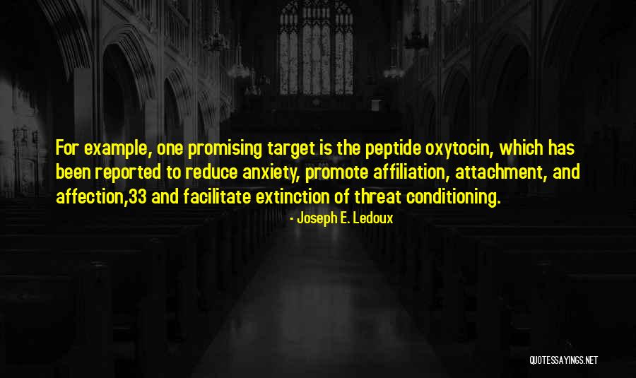 Affiliation Example Quotes By Joseph E. Ledoux Affiliation Example Quotes By Joseph E. Ledoux