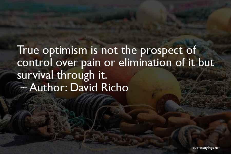 Affinito And Associates Quotes By David Richo