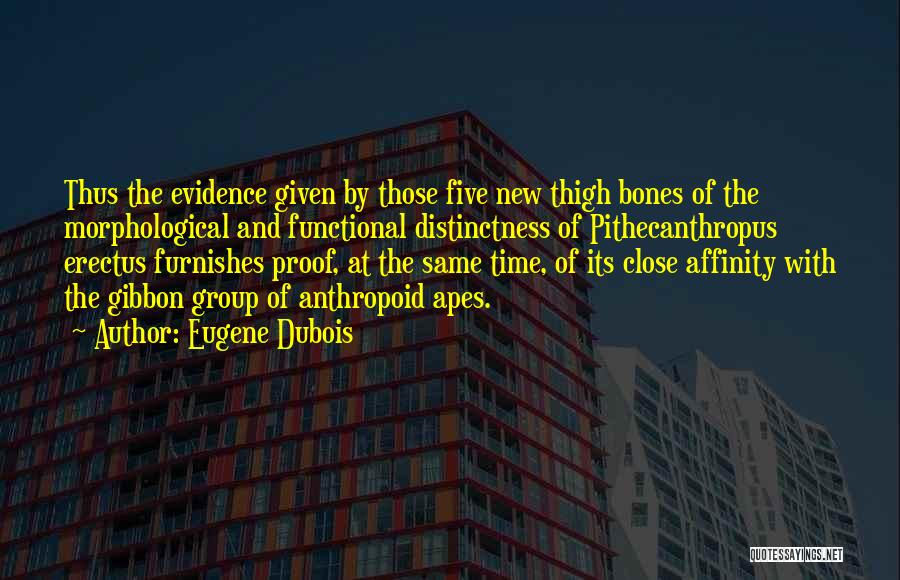 Affinity Quotes By Eugene Dubois