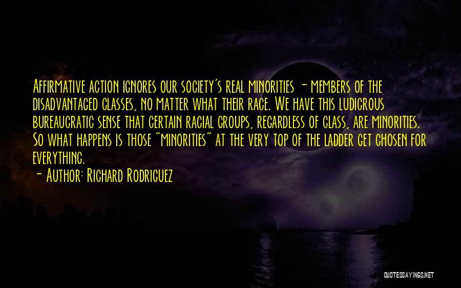 Affirmative Action Quotes By Richard Rodriguez