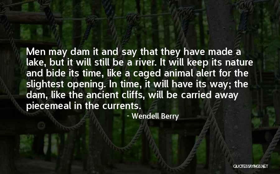 Affirms Define Quotes By Wendell Berry Affirms Define Quotes By Wendell Berry