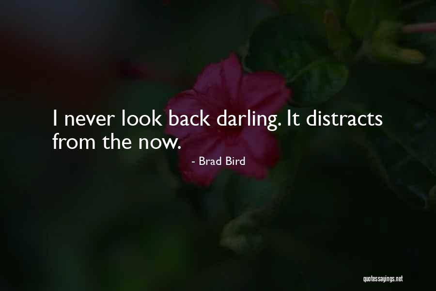 Affix Quotes By Brad Bird Affix Quotes By Brad Bird
