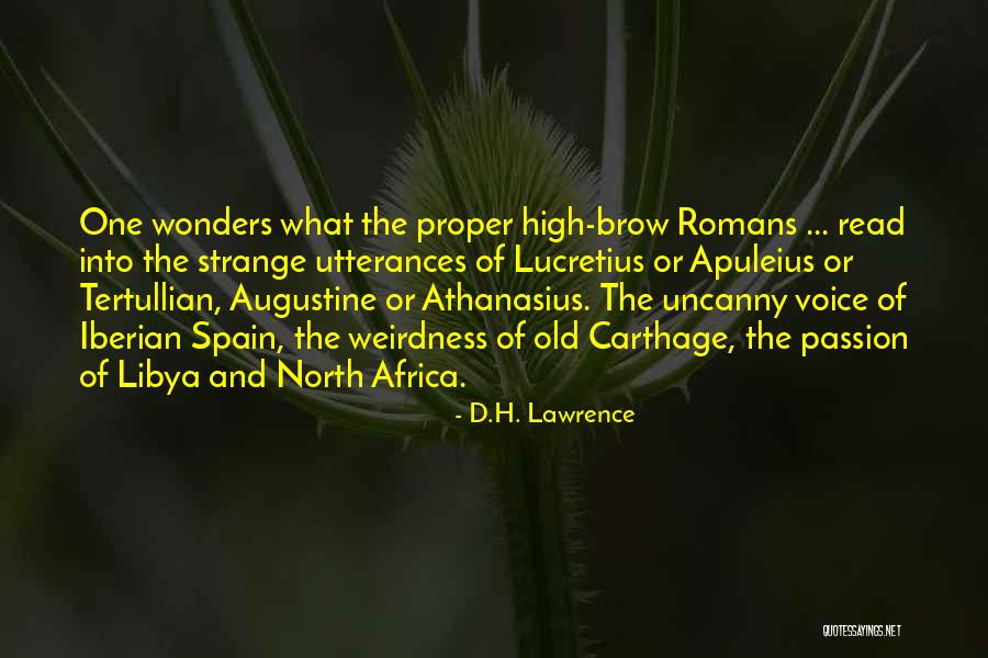 Afflerbach Kristen Quotes By D.H. Lawrence Afflerbach Kristen Quotes By D.H. Lawrence
